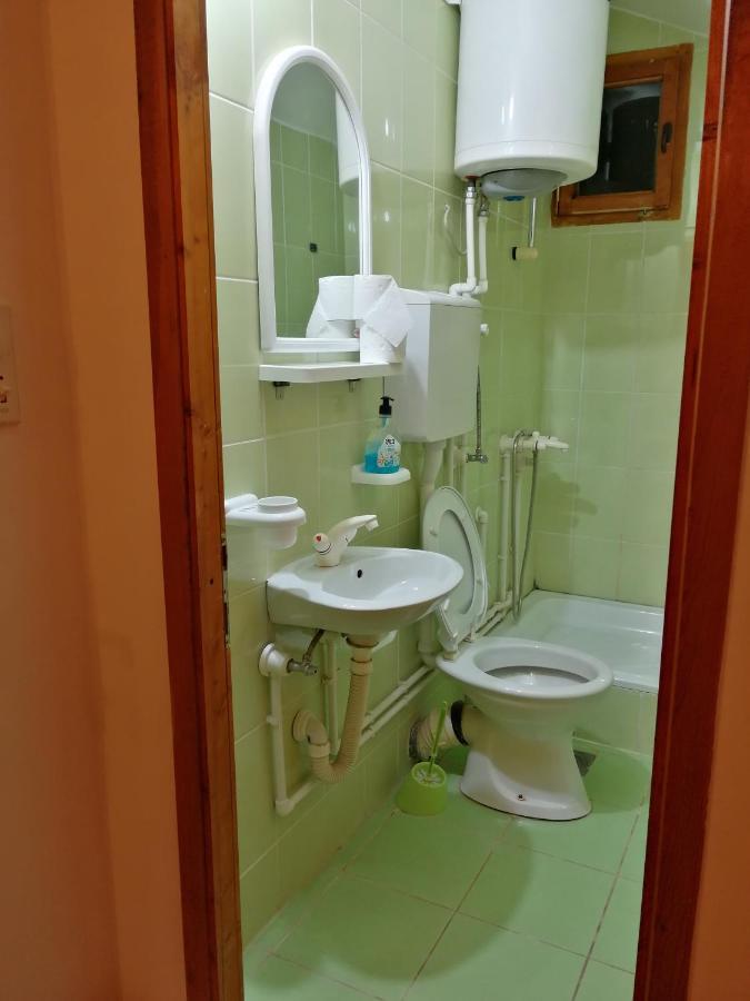 Ferienwohnung Pansion Velickovic Niska Banja Exterior foto