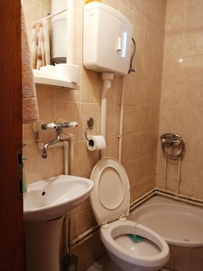 Ferienwohnung Pansion Velickovic Niska Banja Exterior foto